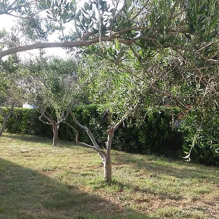 Gabriel Apartament Nin