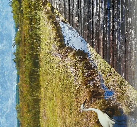 Apartmán Gabriel Nin